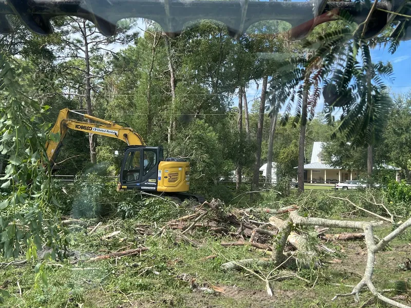 Land Clearing